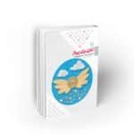 آغازی برای پرواز