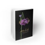 آیه شکسته تطهیر