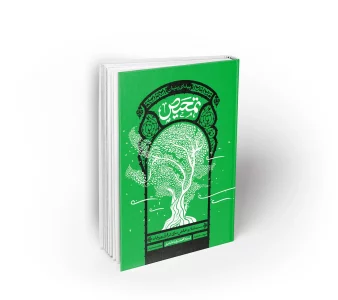 کتاب تمحیص استاد عابدینی