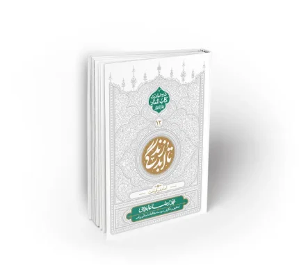 کتاب امام در قیامت دفتر دوازدهم تا ابد زندگی محمدرضا عابدینی دفتر نشر معارف